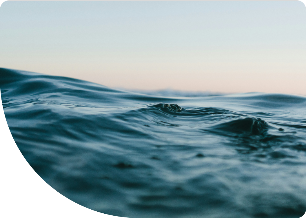 Descripción de la imagen