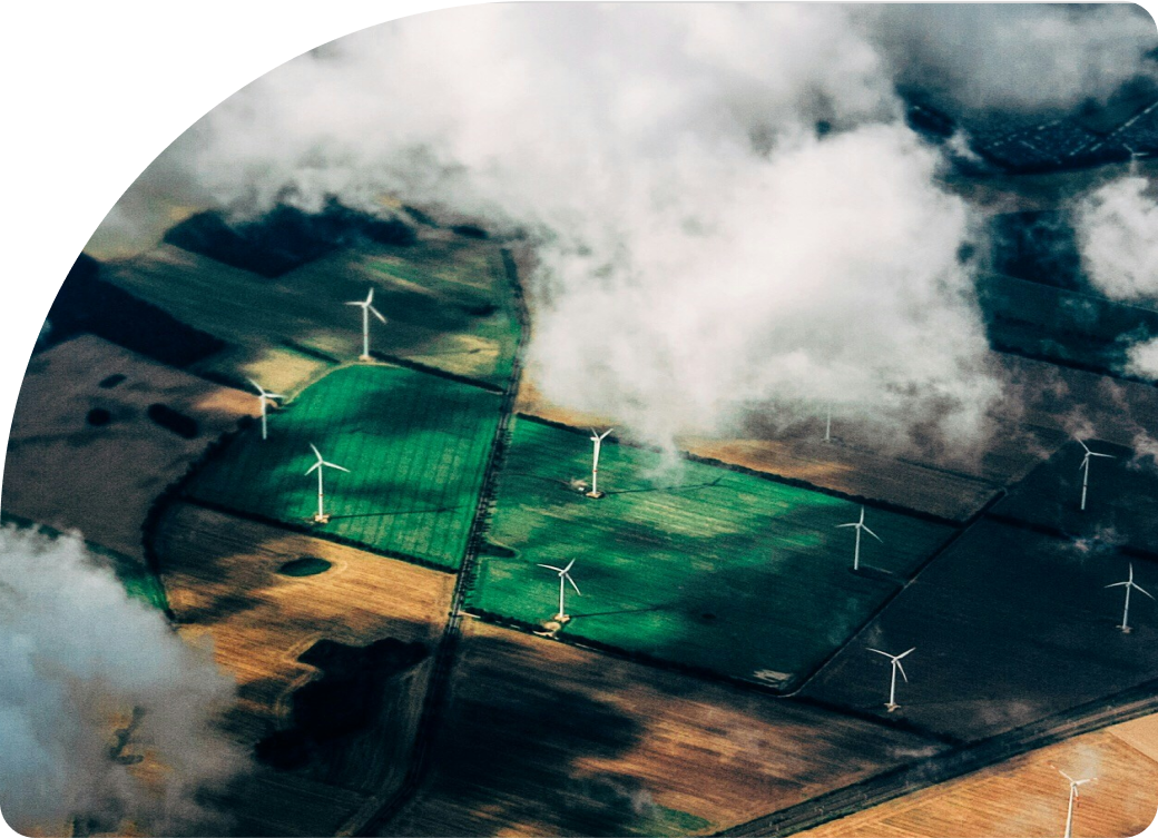 Descripción de la imagen