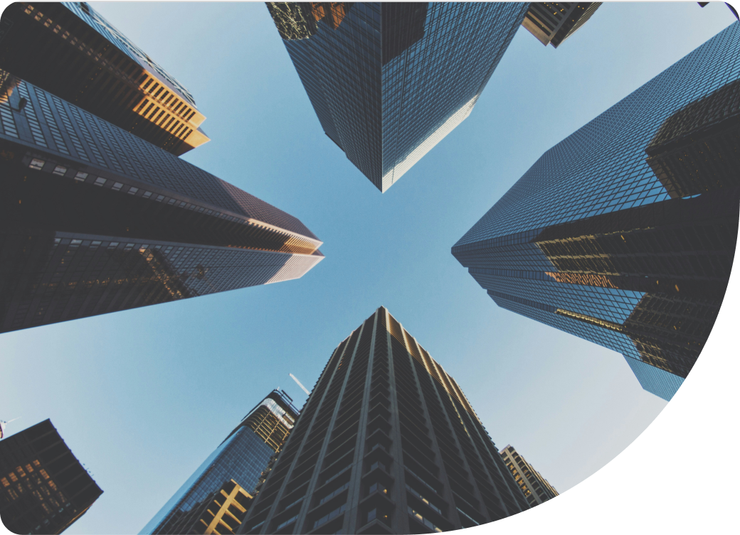 Descripción de la imagen